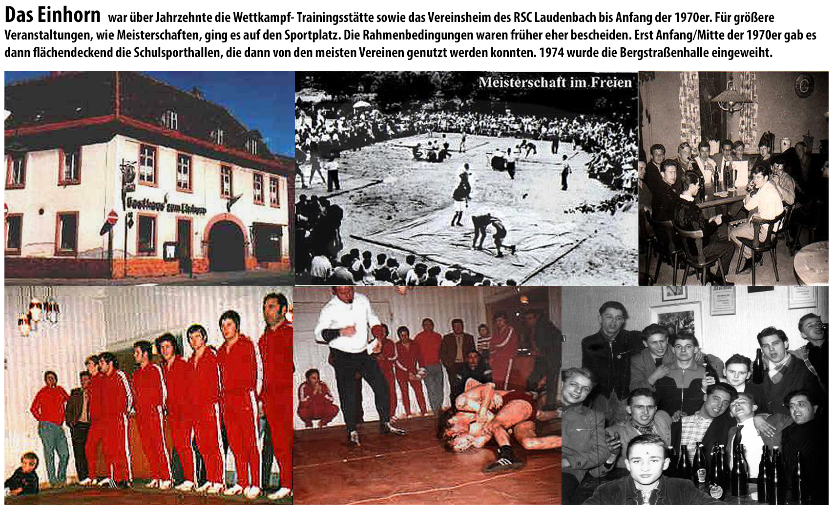 Einhorn Laudenbach