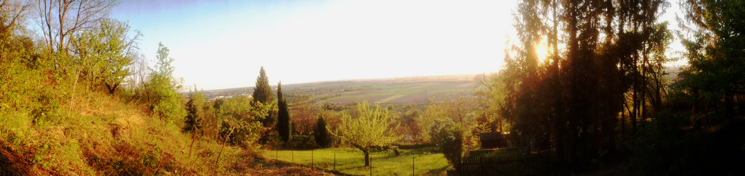 Sulzbach Blick Rheinebe
